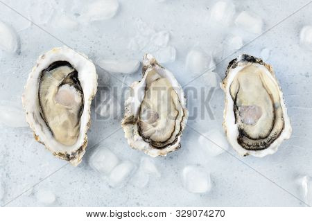 Fresh Raw Oysters On Ice, Shot From The Top
