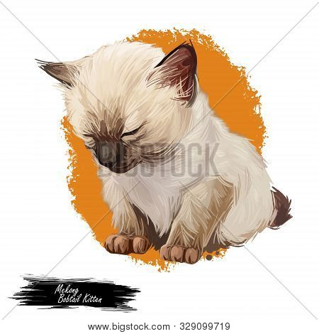 Mekong Bobtail Kitten Digital Art Illustration. Sleeping Catty Watercolor Portrait. Cute Face Of Fur