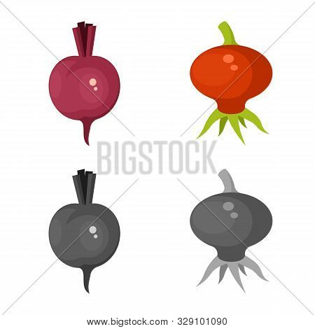 Isolated Object Of Fresh And Red Icon. Collection Of Fresh And Organic Vector Icon For Stock.