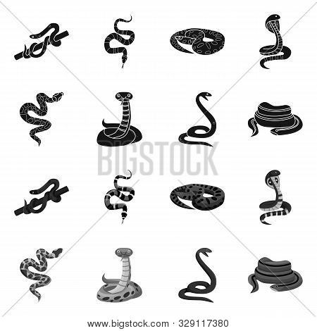 Vector Illustration Of Snake And Creepy Sign. Set Of Snake And Wildlife Stock Symbol For Web.