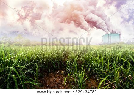 Landscape Sugar Farm Field With Thunder Storm And Mountain