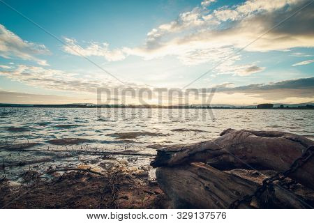 Lanscape Sunset And Death Tree Stump