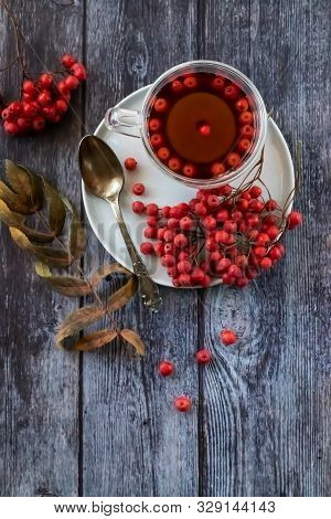 Hot Healing Tea, Mountain Ash Tea. Applied With A Lack Of Vitamins, Anemia, Metabolic Disorders. Red