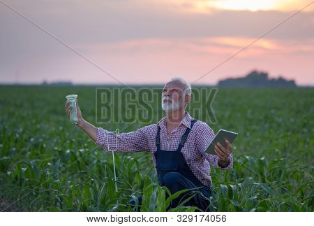 Senior Farmer With Tablet Squatting Beside Rain Gauge In Corn Field And Looking At Sky