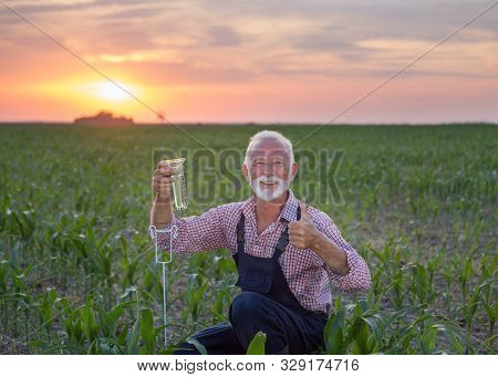Farmer With Rain Gauge In Corn Field