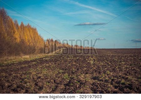 Warm Autumn Countryside. Landscape. Summer Was Over, Autumn Had Come.