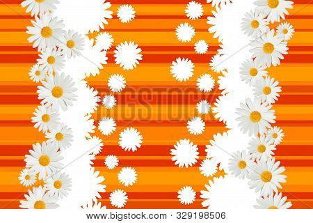 Seamless White Daisy Flowers On Dark And Light Orange Background.