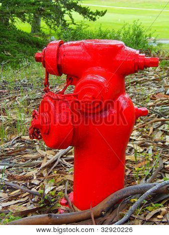 Rød Firehydrant