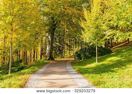 The Path Leads In One Directions. The Way To The Autumn Park In The Centre Of The Forest.