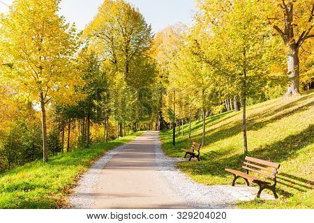 The Path Leads In One Directions. The Way To The Autumn Park In The Centre Of The Forest.