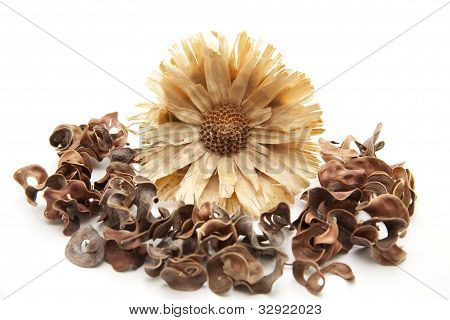 Flor de madeira