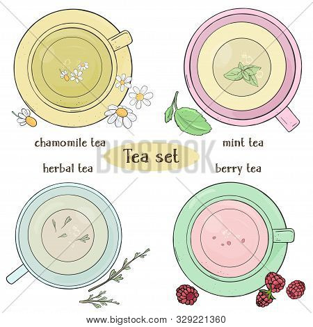 Set With Cups Of Tea. Chamomile, Mint, Herbal And Berry Tea. Colorful Vector Illustration In Sketch 