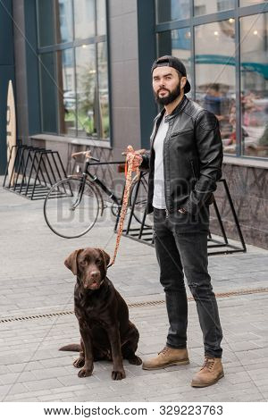Young stylish man in casualwear standing on trottoire during chill with his cute pet in urban environment