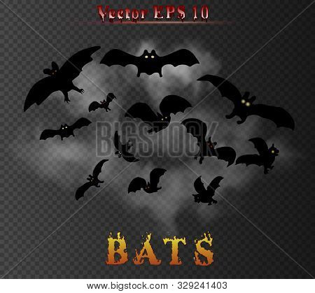 Vector Group Of Bats Behind The Smoke Clouds Isolated On The Dark Transpatent Background.