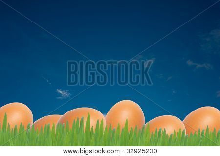 Uova di Pasqua