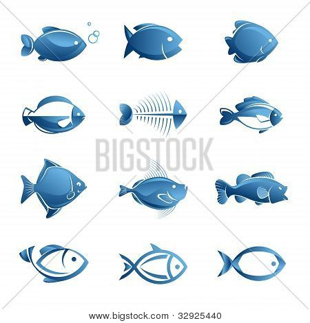 Sada vektorových ikon ryb