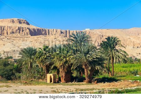 Fertile Banks Of The Nile. Valley Of The Nile River. Palm Trees And Fields On Nile Riverside In Egyp