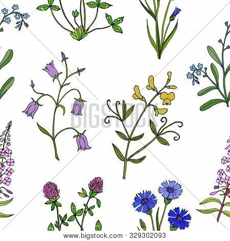 Seamless Pattern With Hand Drawn Wild Flowers. Vector Herbal Background