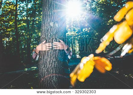 woman hands hugging a tree - fight climate change, save planet earth