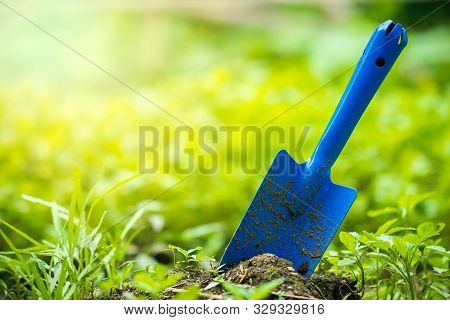 Yard Garden Tools And Vegetable Garden. Trowel Stuck In The Ground And Morning Sunlight At Organic F