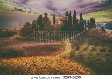 Beautiful Golden Sunrise In Tuscany, Italy With Vineyard. Natural Idillyc Seasonal Autumn Background