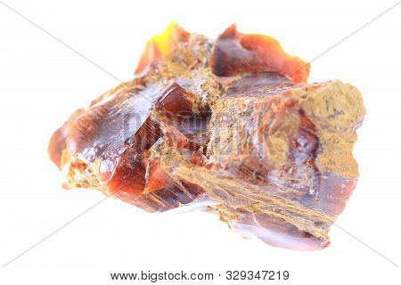 Wooden Opalite Mineral Isolated