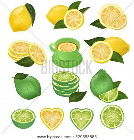 Lemon Vector Green Lime And Lemony Sliced Yellow Citrus Fruit And Fresh Juicy Lemonade Illustration 