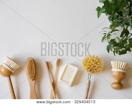 Dish Washing Brushes, Bamboo Toothbrushes And Green Houseplant. Sustainable Lifestyle Zero Waste Con