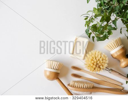 Dish Washing Brushes, Bamboo Toothbrushes And Green Houseplant. Sustainable Lifestyle Zero Waste Con