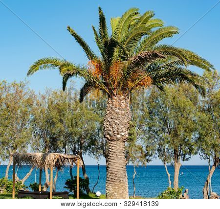 Mediterranean Sea In Horizon In The South On The Island Of Kos Greece