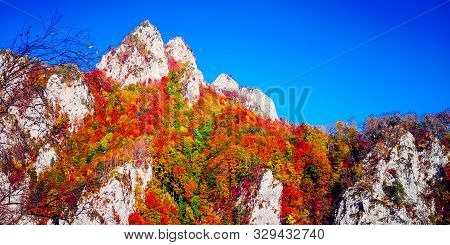 Autumn In Buila Vanturarita, Carpathian Mountains, Romania. Vivid Fall Colors In Forest. Scenery Of 