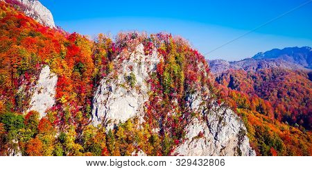 Autumn In Buila Vanturarita, Carpathian Mountains, Romania. Vivid Fall Colors In Forest. Scenery Of 