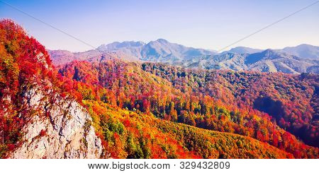 Autumn In Buila Vanturarita, Carpathian Mountains, Romania. Vivid Fall Colors In Forest. Scenery Of 