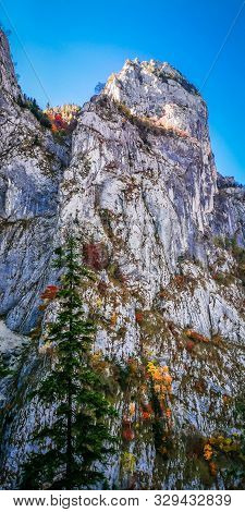 Autumn In Buila Vanturarita, Carpathian Mountains, Romania. Vivid Fall Colors In Forest. Scenery Of 