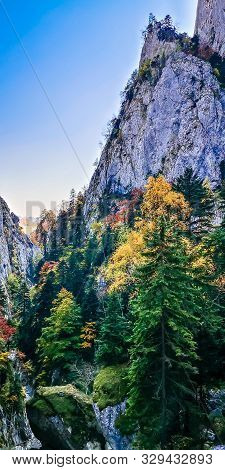 Autumn In Buila Vanturarita, Carpathian Mountains, Romania. Vivid Fall Colors In Forest. Scenery Of 