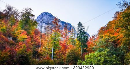 Autumn In Buila Vanturarita, Carpathian Mountains, Romania. Vivid Fall Colors In Forest. Scenery Of 
