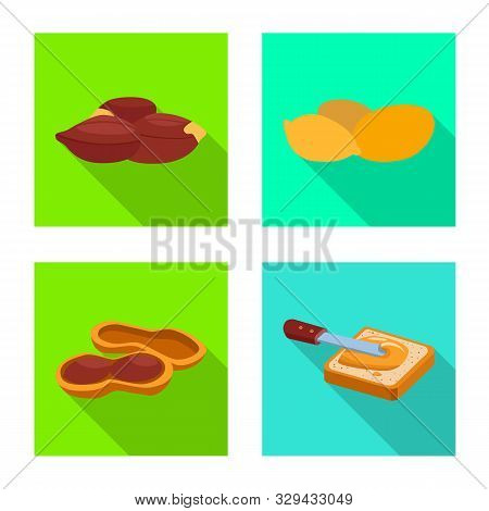 Vector Illustration Of Natural And Seed Icon. Collection Of Natural And Groundnut Vector Icon For St