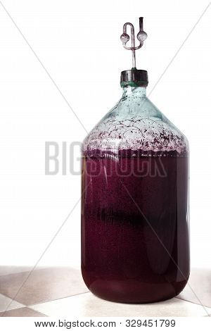 The Process Of Making Red Homemade Wine. A 20 Liter Glass Bottle With A Must With An Airlock In A Co