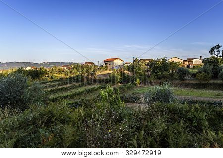 View Of A Traditional Village And Its Subsistence Agricultural Fields Located Near Penacova, Coimbra