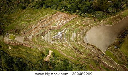 Birds Eye View Of The Rice Terraces Of The Philippine Cordilleras, Banaue Rice Terraces In Banaue, I