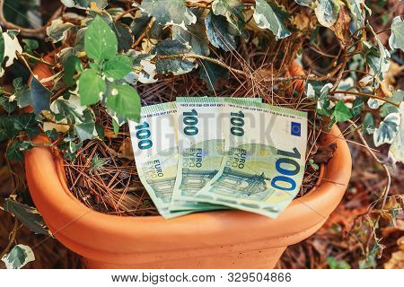 100 Hundredth Euro Banknotes In Flowerpot On Green Background Outdoors, Finance Concept