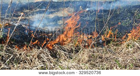 Burning Dead Grass. The Reasons For Spring Grass Burning Are Largely Unfounded And Rather Than Being