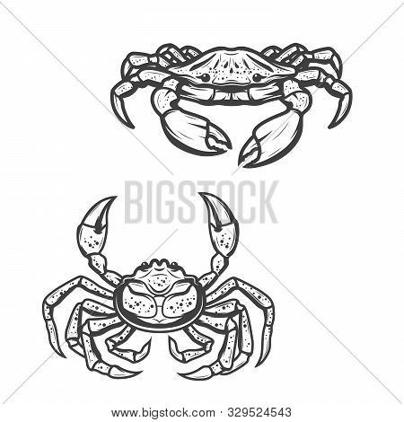 Crab Isolated Sketch Animal Icons. Vector Marine Underwater Blua Nd Opilio Ored King Crab Or Crawfis