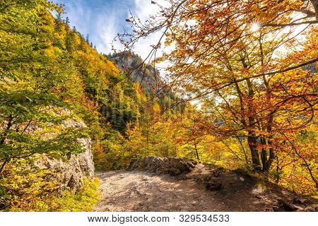 Mountain Landscape In Autumn Sunny Day. Hiking Trail Through Kvacianska Valley, Slovakia, Europe.