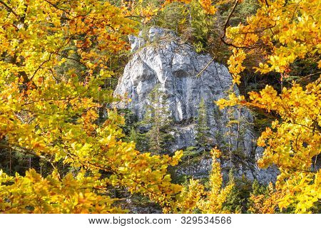 A Rock In The Shape Of A Male Face In An Autumn Forest. Kvacianska Valley In Liptov Region Of Slovak