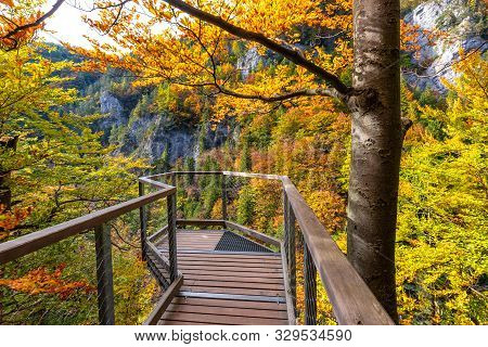 Landscape In Autumn Day. Lookout Built Over The Gorge On Hiking Trail Through Kvacianska Valley, Slo