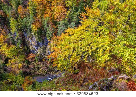 Mountain Landscape In Autumn Day. View Into The Gorge On Hiking Trail Through Kvacianska Valley, Slo