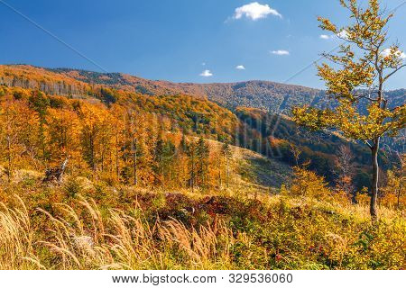 Mountain Landscape With Forests In Autumn Colors. Kysuce Region In The North Of Slovakia, Europe.