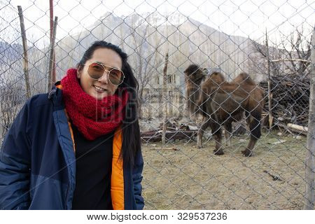 Travelers Thai Women Standing For Take Photo Bactrian Camel Inside Cage At Hunder Of Hunder Village 
