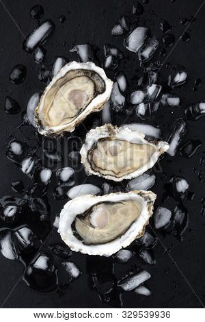 Fresh Raw Oysters On Ice, Shot From Above On A Black Background